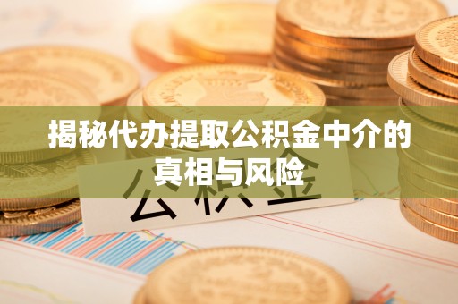 黎城揭秘代办提取公积金中介的真相与风险