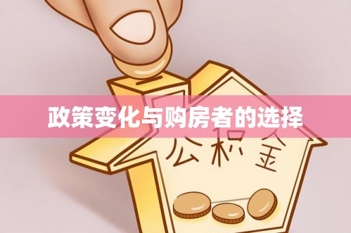 黎城政策变化与购房者的选择