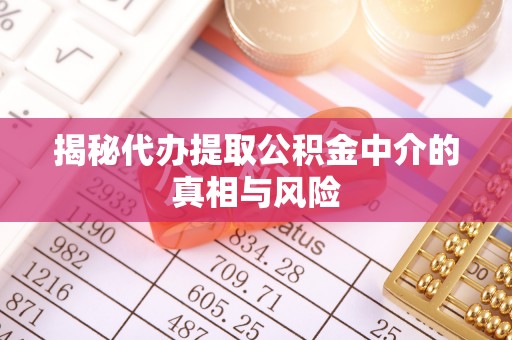 黎城揭秘代办提取公积金中介的真相与风险