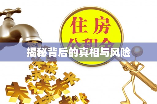 黎城揭秘背后的真相与风险