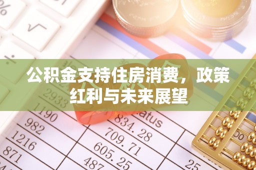 黎城公积金支持住房消费，政策红利与未来展望