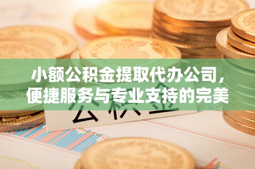 黎城小额公积金提取代办公司，便捷服务与专业支持的完美结合