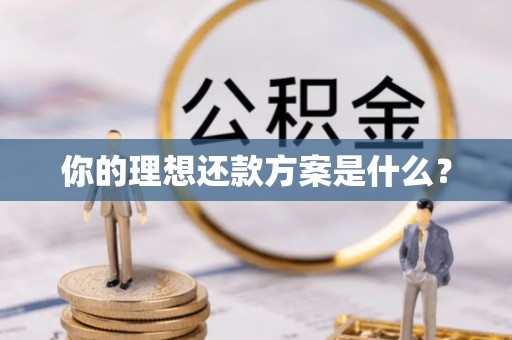 黎城你的理想还款方案是什么？