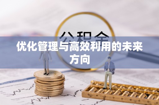 黎城优化管理与高效利用的未来方向