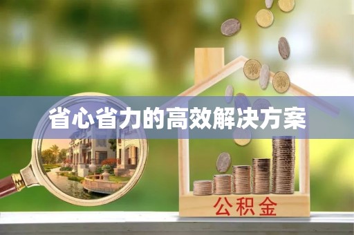 黎城省心省力的高效解决方案