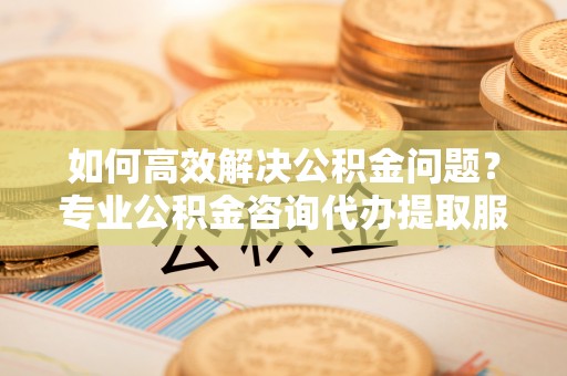 黎城如何高效解决公积金问题？专业公积金咨询代办提取服务来帮你