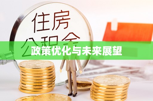 黎城政策优化与未来展望