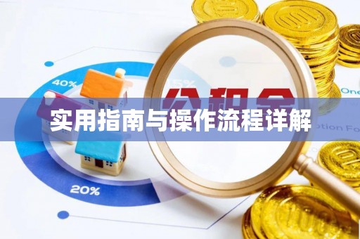黎城实用指南与操作流程详解