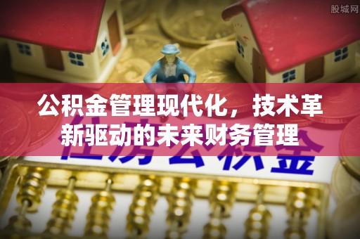 黎城公积金管理现代化，技术革新驱动的未来财务管理