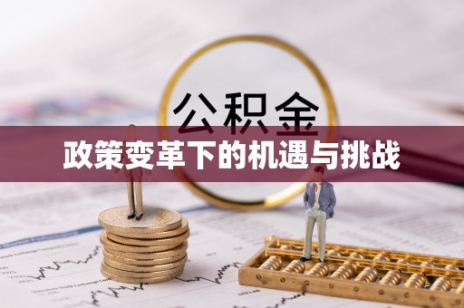 黎城政策变革下的机遇与挑战