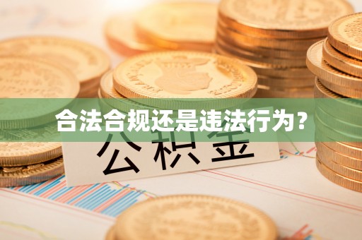 黎城合法合规还是违法行为？