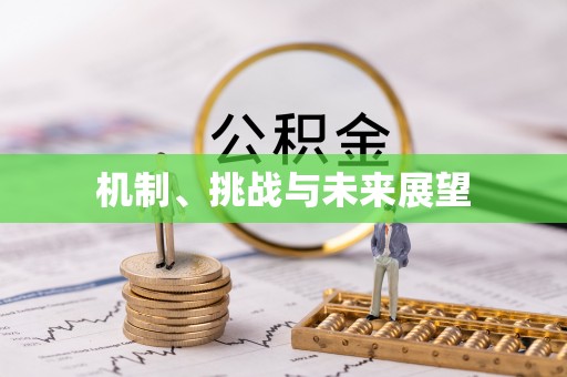 黎城机制、挑战与未来展望