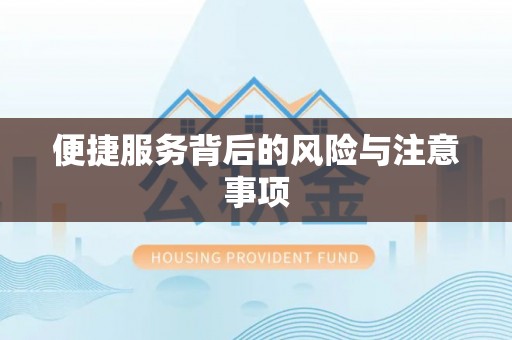 黎城便捷服务背后的风险与注意事项